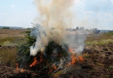 С мая по октябрь 2015 года полицейские изъяли более 136 килограммов наркотиков